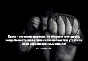 1018156-6691