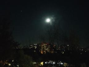 1806171-4481