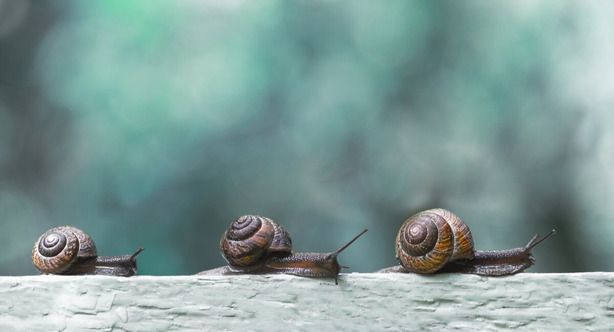 Иллюстрация к публикации