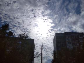 1813094-1013