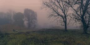 1813262-8712