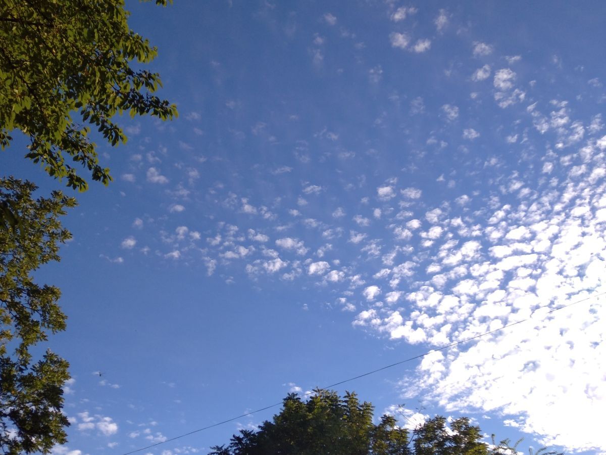 Иллюстрация к публикации