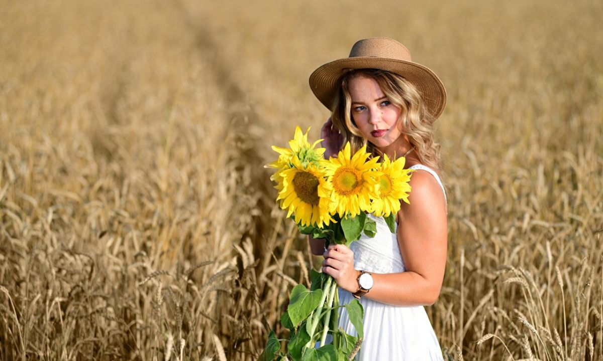 Иллюстрация к публикации