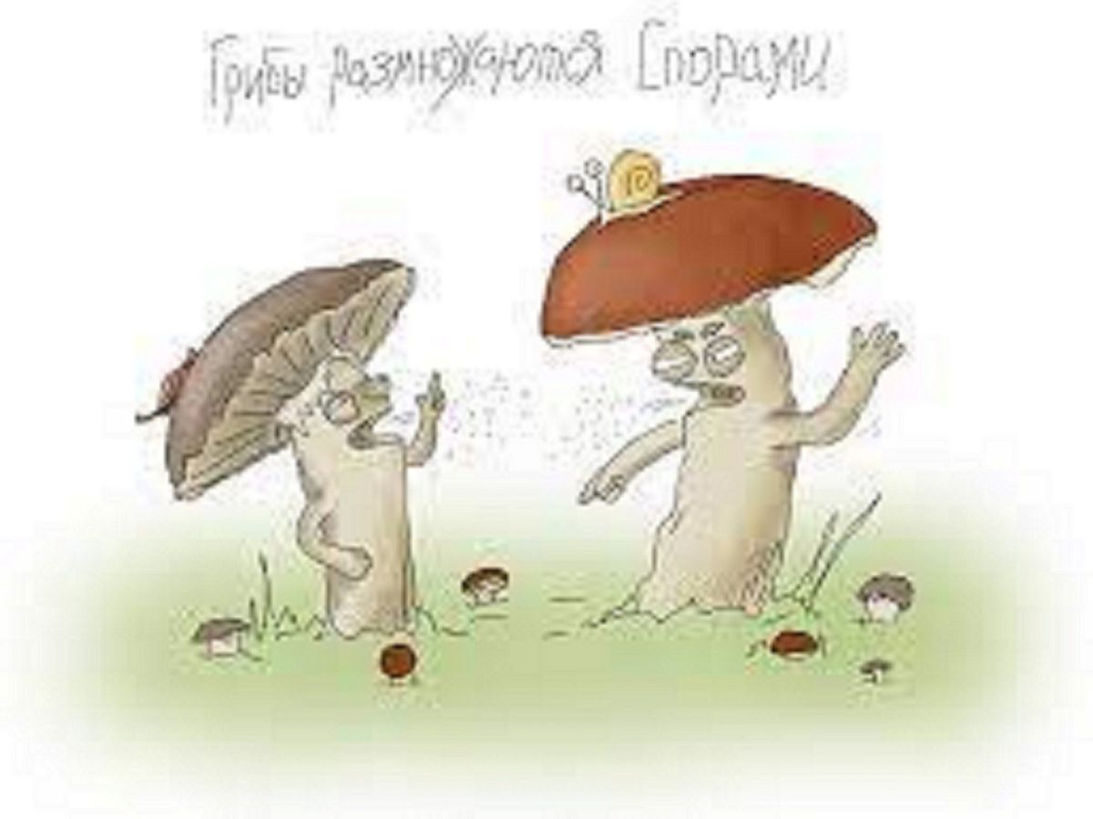 Иллюстрация к публикации