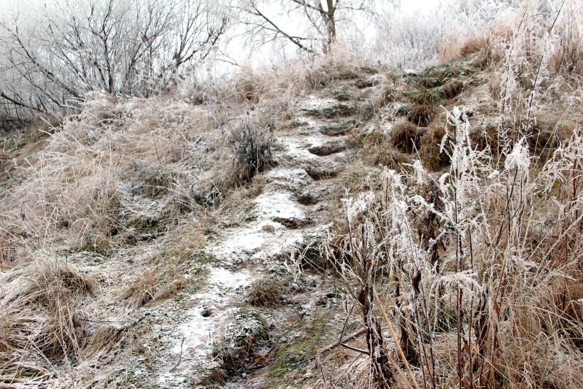 Иллюстрация к публикации