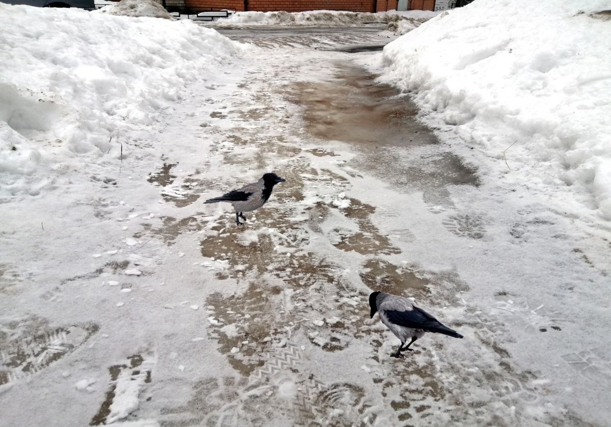 Иллюстрация к публикации