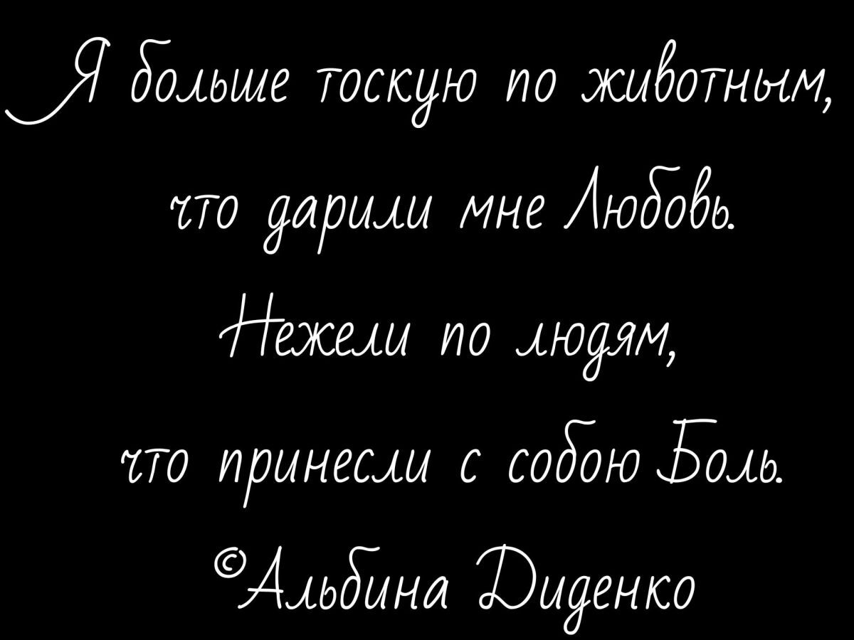 Иллюстрация к публикации