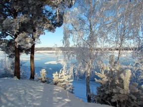 1845589-4607
