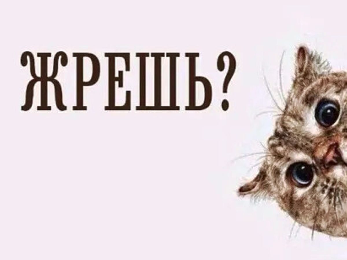 Иллюстрация к публикации