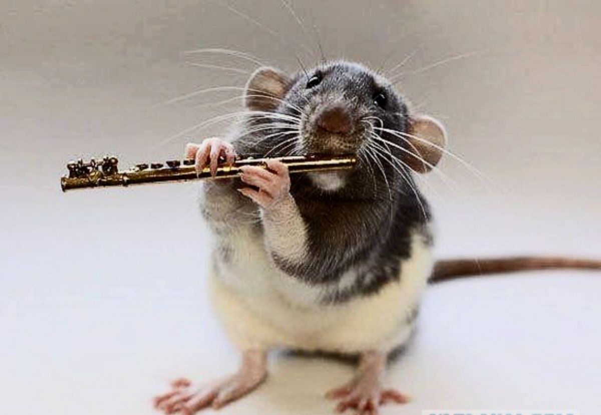 Иллюстрация к публикации