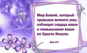 1851355-8328