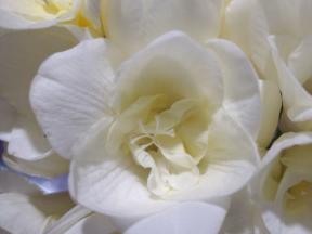 1853519-8502