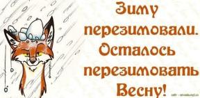 1861830-4291