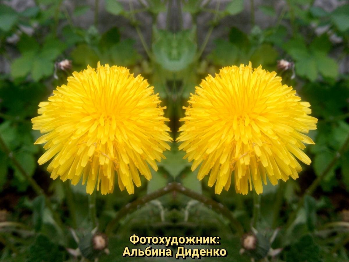 Иллюстрация к публикации