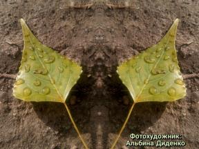 1875782-3087