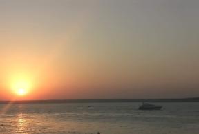 1892699-7965