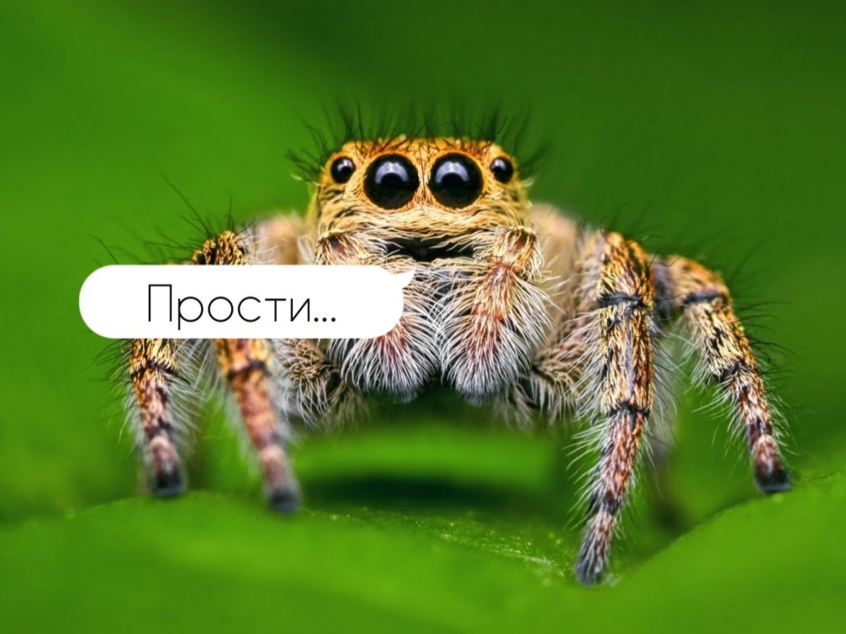 Иллюстрация к публикации