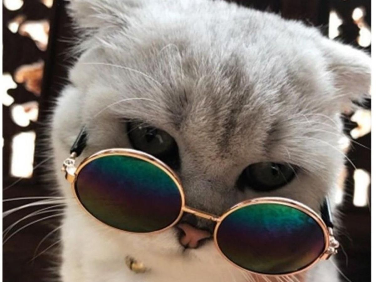 Иллюстрация к публикации