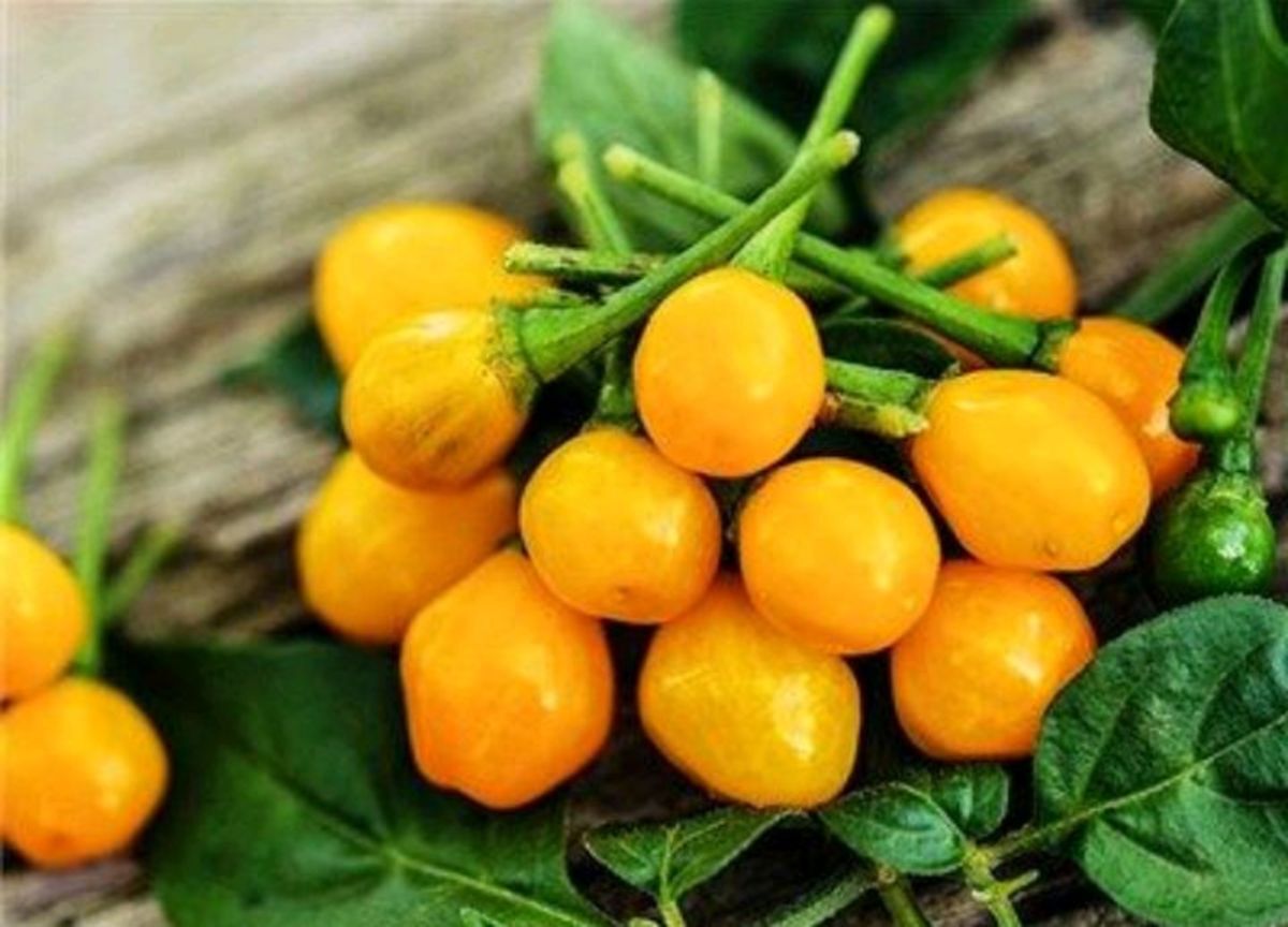 Иллюстрация к публикации