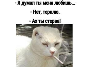 1902879-5519