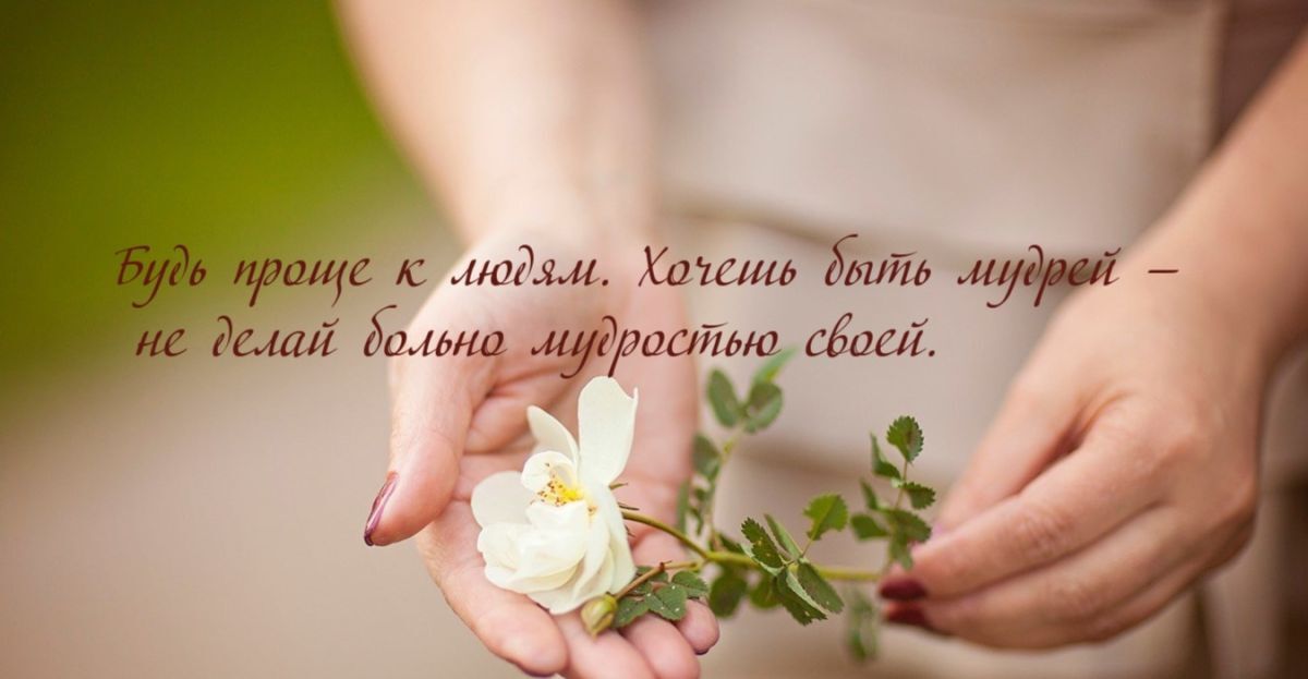 Иллюстрация к публикации