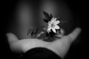 1905518-9392