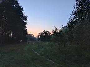 1906645-5869