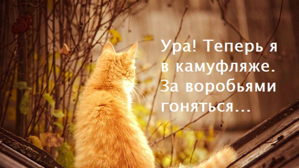 Иллюстрация к публикации