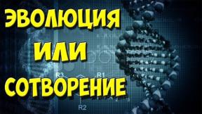 1909857-1117