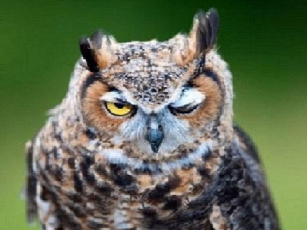 Иллюстрация к публикации