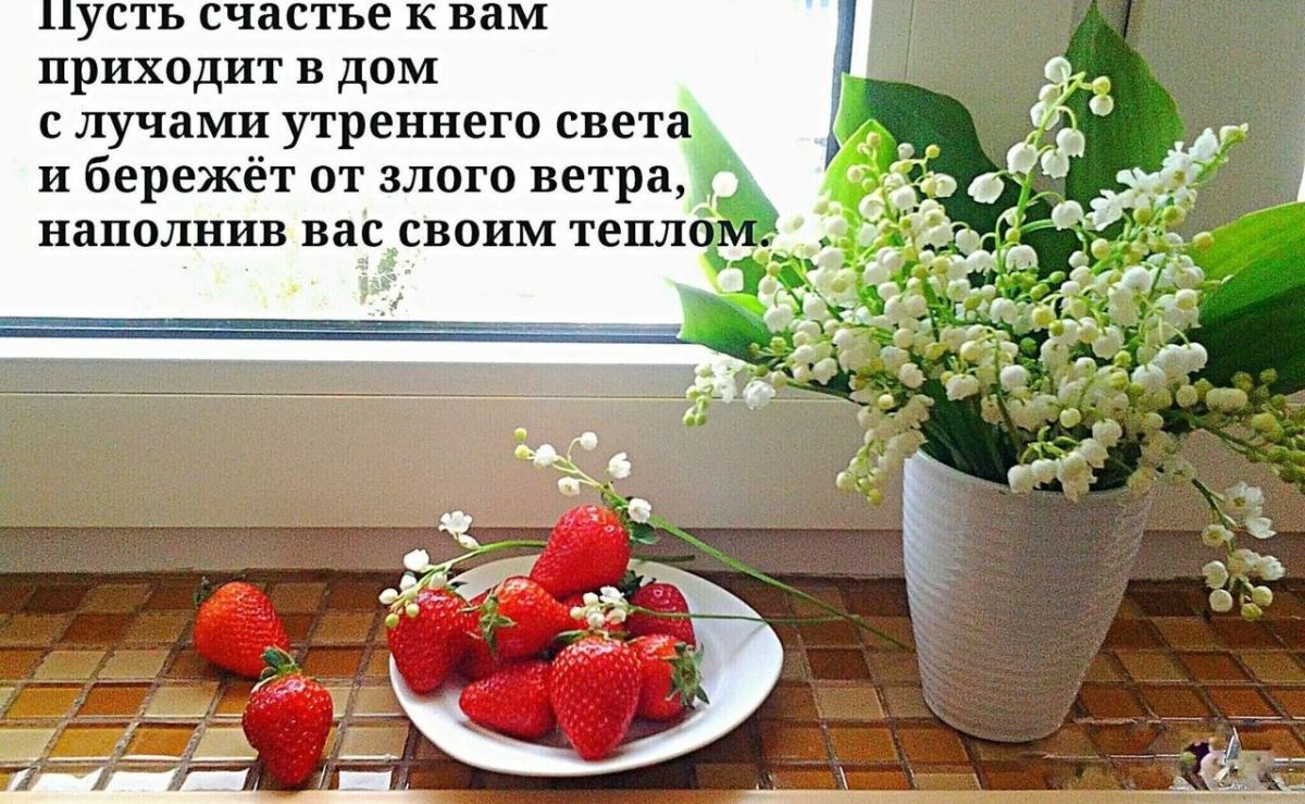Иллюстрация к публикации