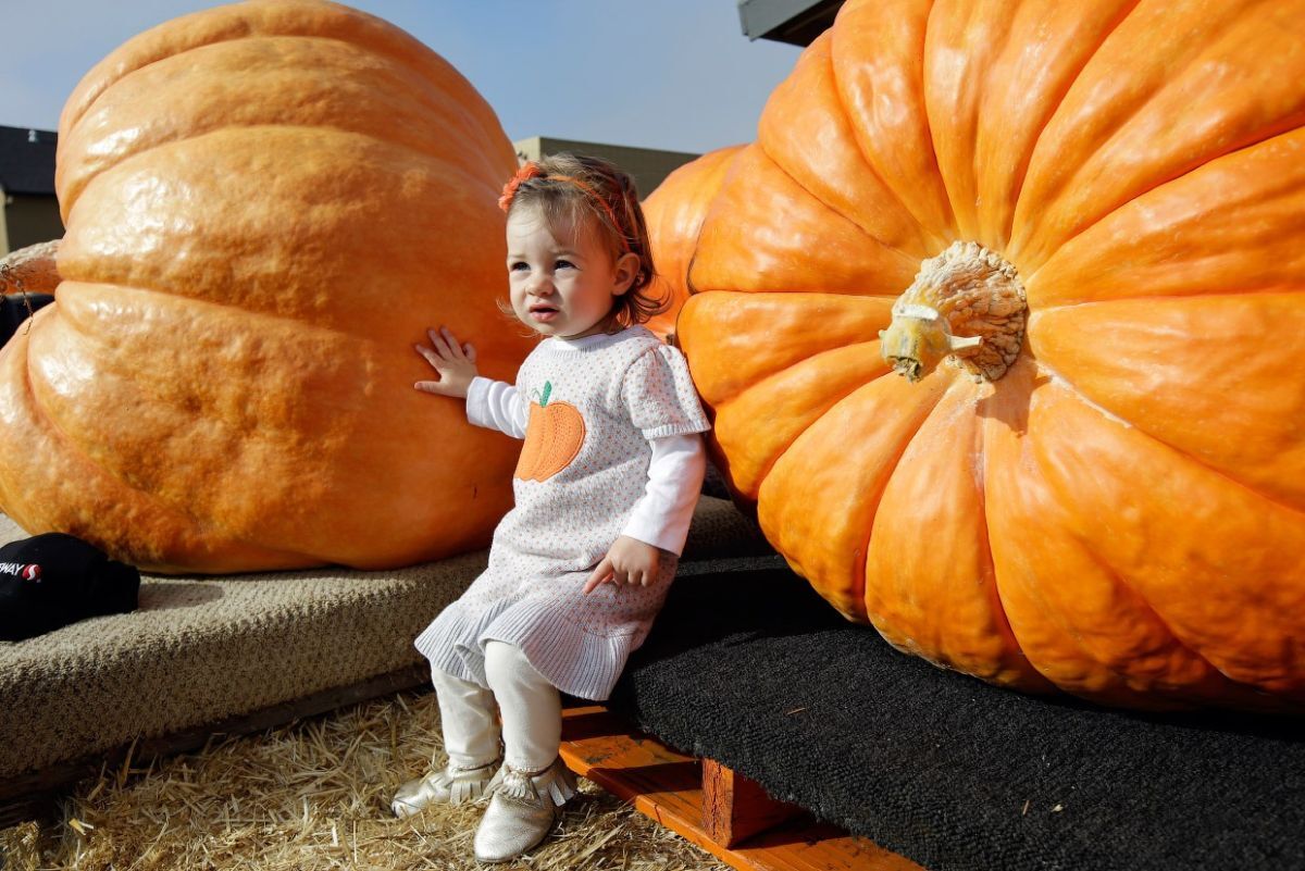 Иллюстрация к публикации