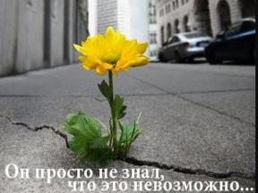 1926368-7840