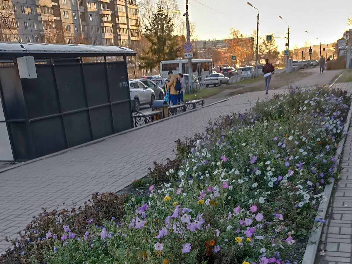 Иллюстрация к публикации