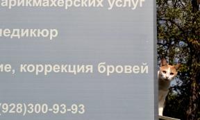1927003-6828