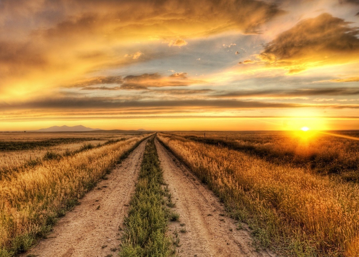 Иллюстрация к публикации