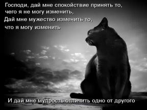 1931353-5962