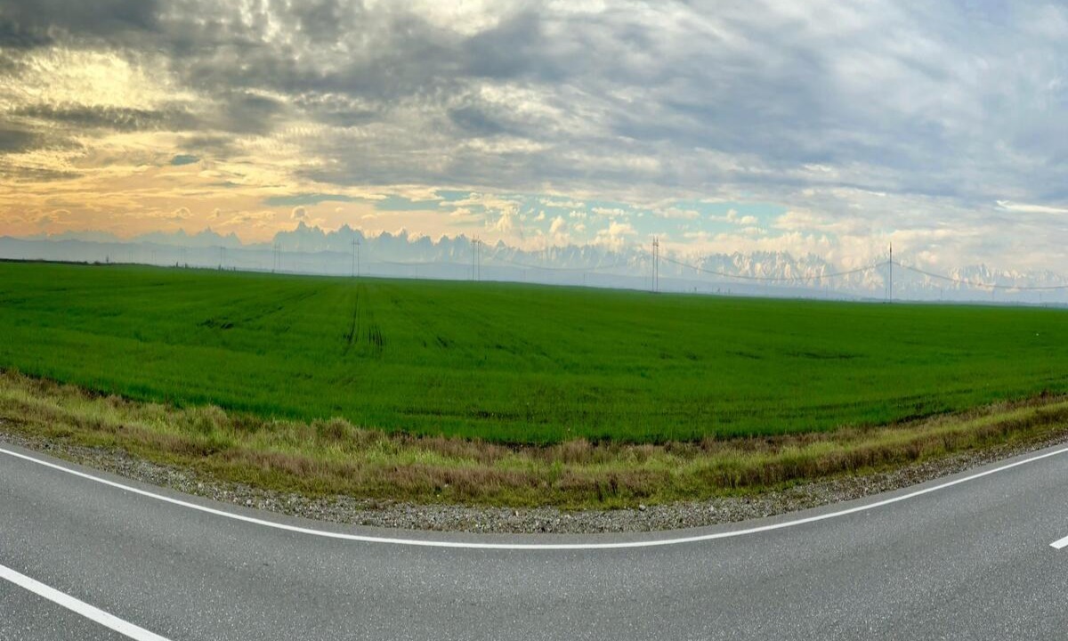 Иллюстрация к публикации