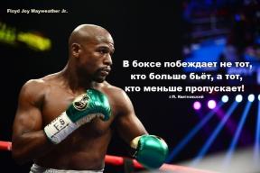 1924125-5517