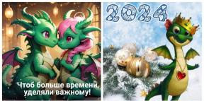 1951829-7932