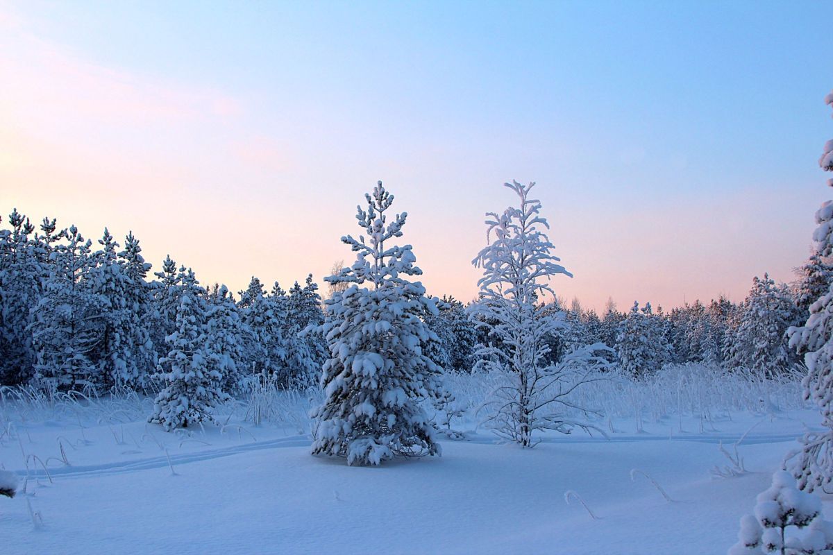 Иллюстрация к публикации
