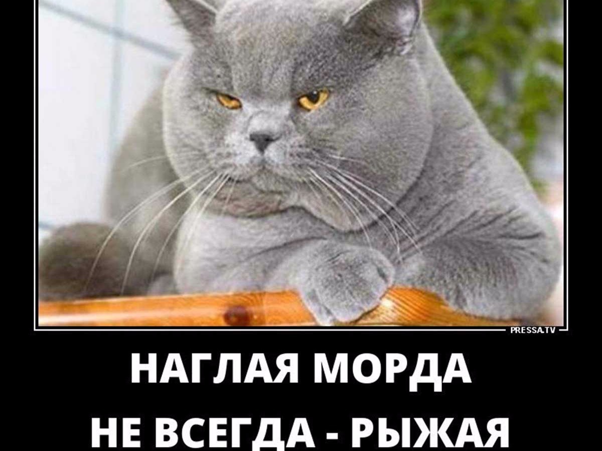 Иллюстрация к публикации