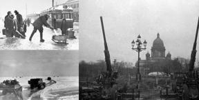 1959718-5927