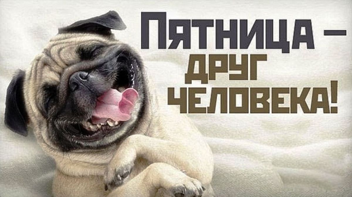 Иллюстрация к публикации