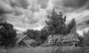 1958684-8224