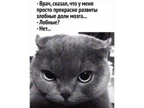 1960766-0756