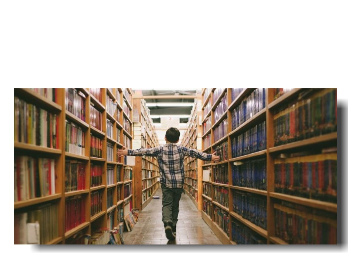 Иллюстрация к публикации