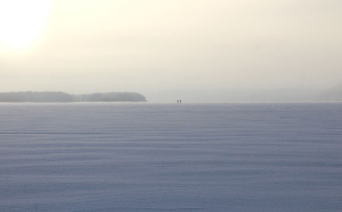 Иллюстрация к публикации