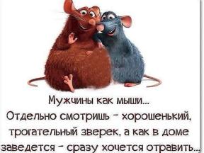 1968233-7185