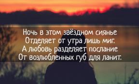 1974565-8643